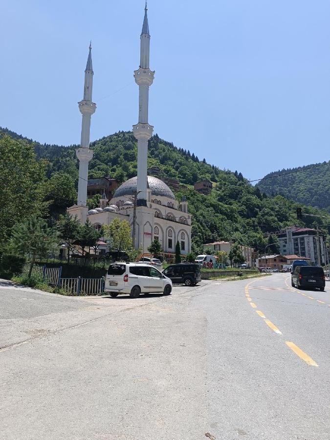 Erdogan Apart Caykara エクステリア 写真